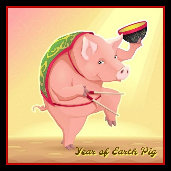 Year of the Earth Pig 2019!