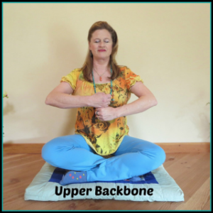 Meditation from the Heart Upper Backbone